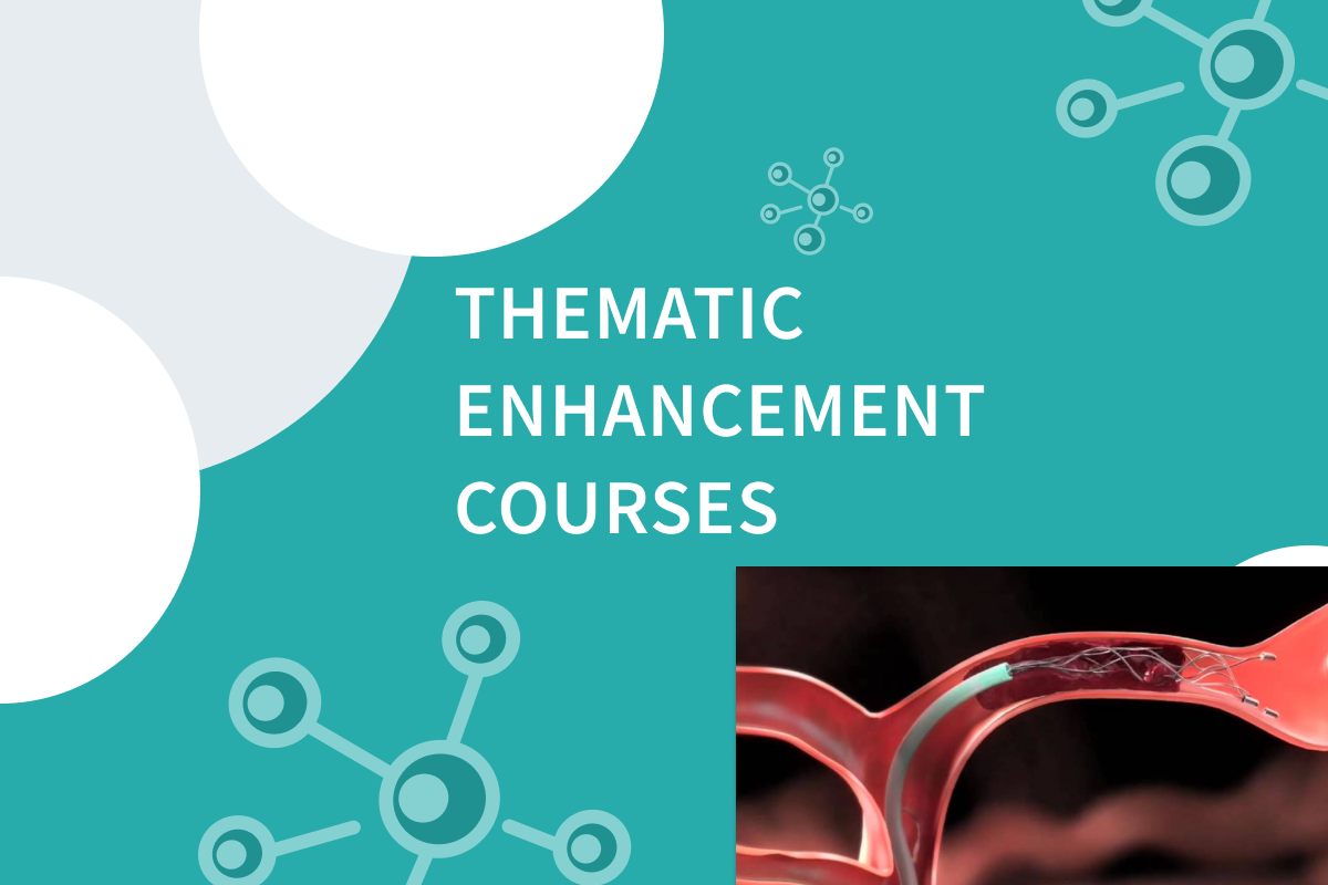 Thematic enhancement courses